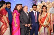 Ramcharan Teja Marriage Reception Photos 8395