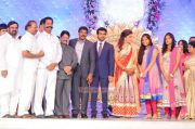 Ramcharan Teja Marriage Reception Photos 9020