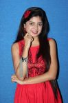 Poonam Kaur Ranam First Look Launch 66