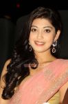 Saguni Audio Launch Stills 4339