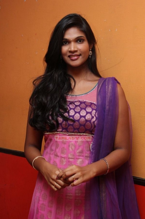 Sathiram Perundhu Nilayam Audio Launch Stills 5052