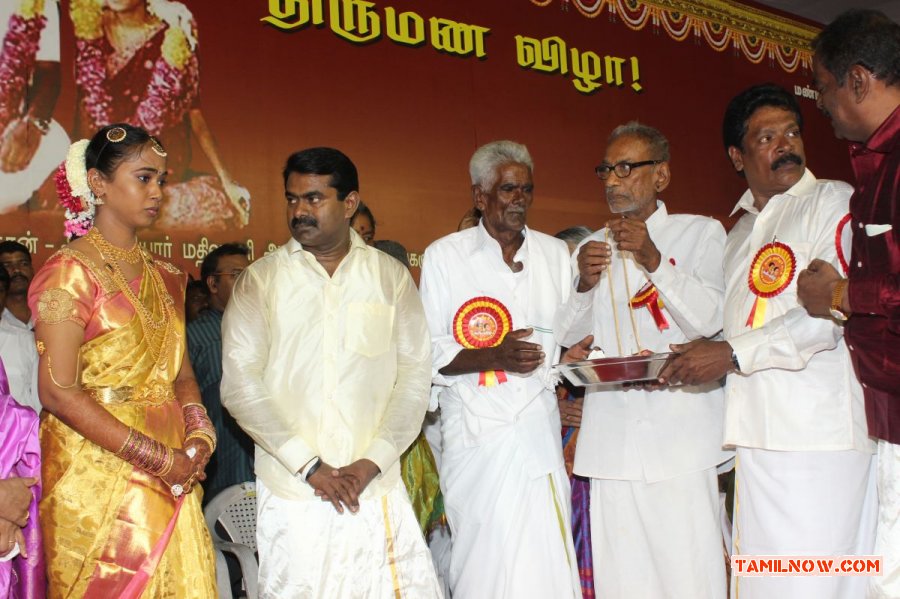 Seeman Marriage 7681