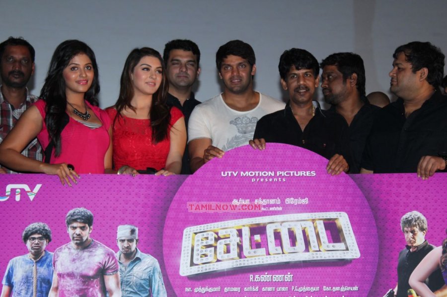 Settai Audio Launch 9746