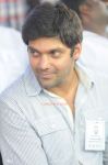 Actor Arya 996