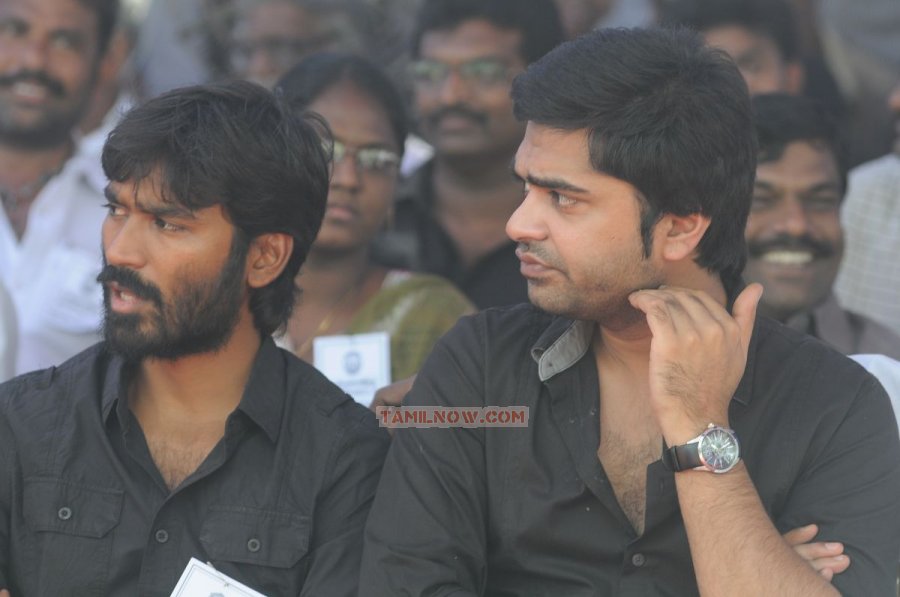 Dhanush And Silambarasan 535