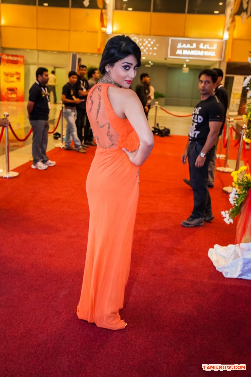 Shriya At Siima 2013 709