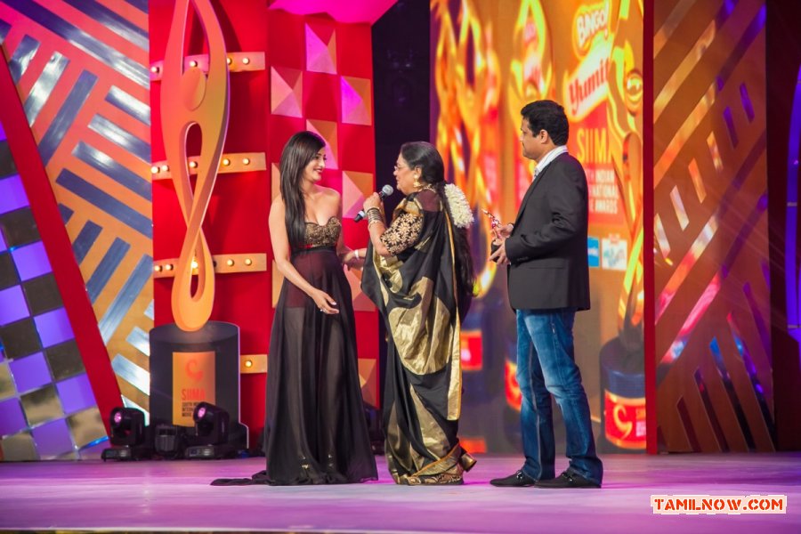 Siima 2013 Dubai 1st Day 7853