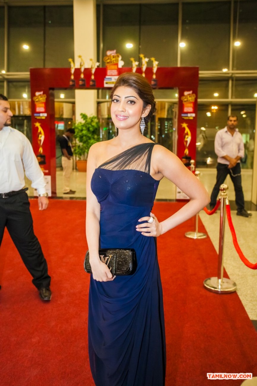 Siima 2013 Dubai 1st Day Photos 1532