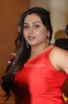 Namitha At Siima Awards 660