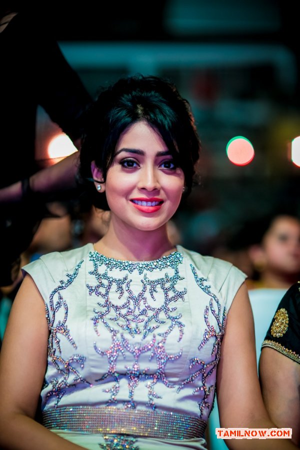 Actress Shriya Saran At Siima Awards 2014 38 228