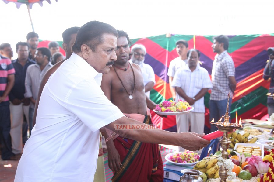 Singam 2 Pooja 533