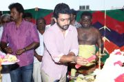 Singam 2 Pooja 6052