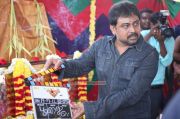 Singam 2 Pooja 801