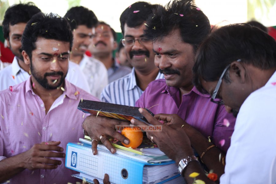 Singam 2 Pooja Stills 3409