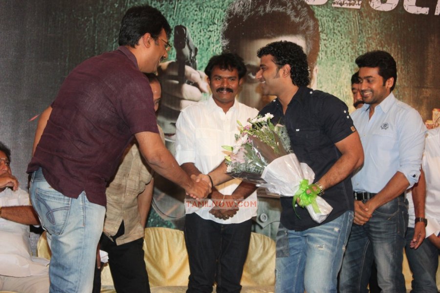 Singam Ii Grand Success Pressmeet 9676