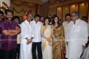 Soundarya Rajnikant Marriage Photos 45