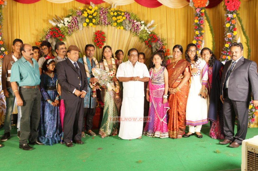 Thambi Ramaiah Daughter Wedding Reception 9181