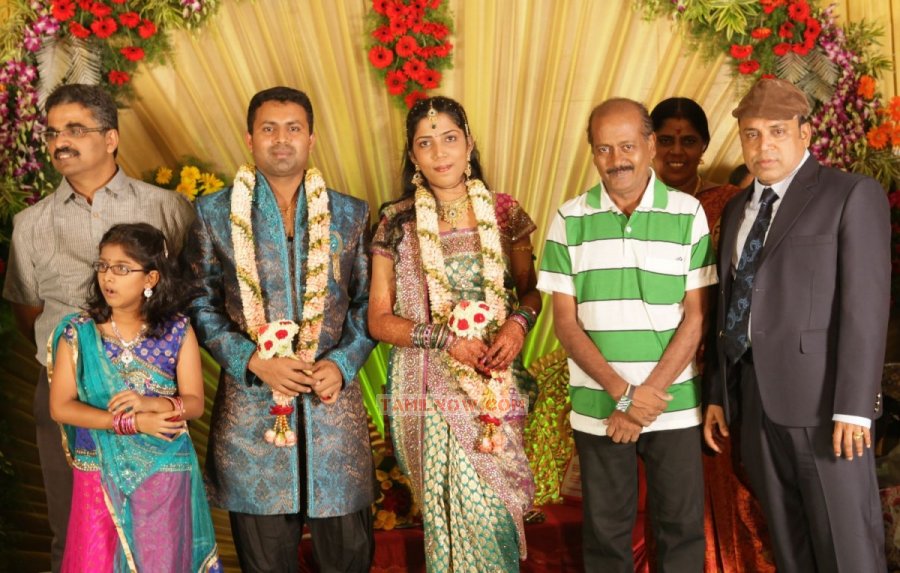 Thambi Ramaiah Daughter Wedding Reception Photos 7379