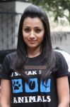 Trisha At Amala At Bluecross Building Launch 957