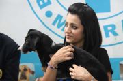 Trisha At Blue Cross Building Launch Photos 3627