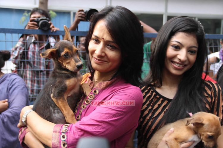 Trisha At Blue Cross Building Launch Stills 1616