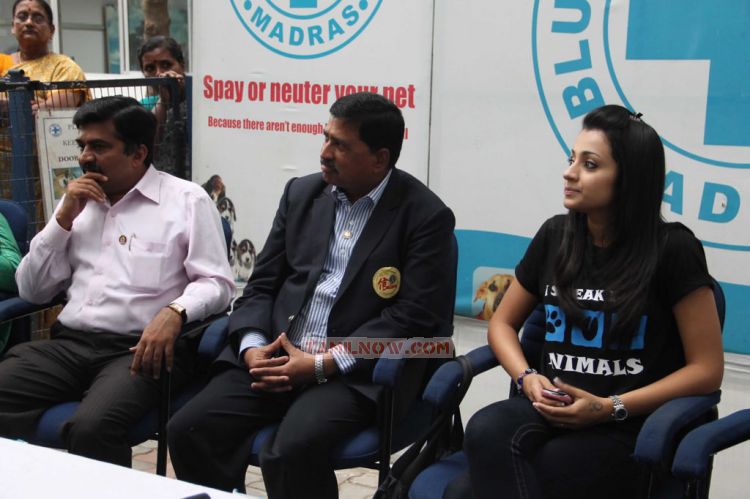 Trisha At Blue Cross Building Launch Stills 8053