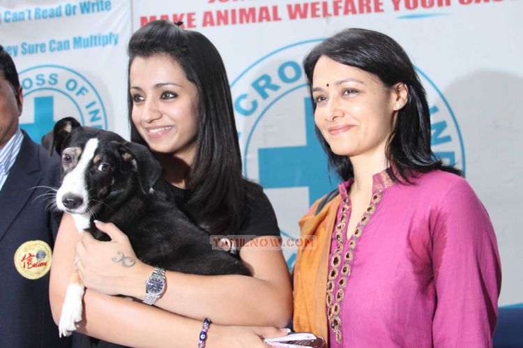 Trisha Krishnan And Amala 204