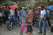 Vijay Dance In Rowdy Rathore 7162