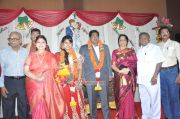 Y Vijaya Daughter Wedding Reception 2893