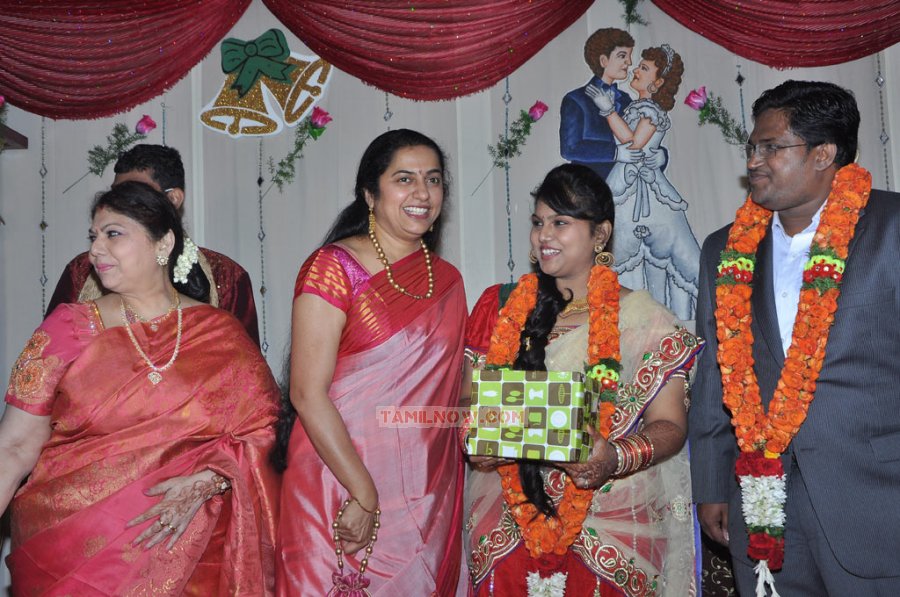 Y Vijaya Daughter Wedding Reception 3438