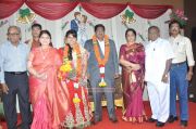 Y Vijaya Daughter Wedding Reception 41