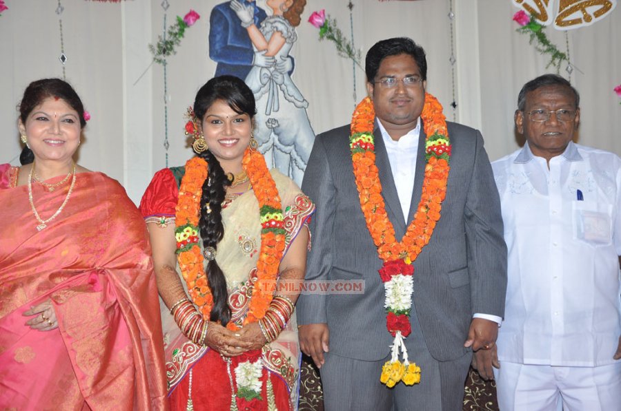 Y Vijaya Daughter Wedding Reception 6020