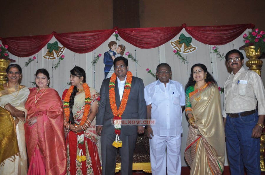 Y Vijaya Daughter Wedding Reception 6618