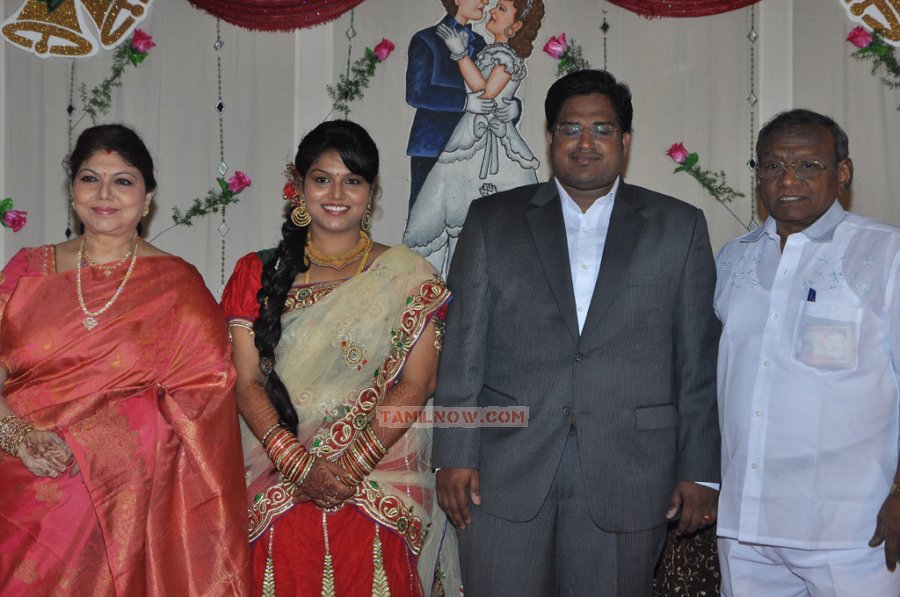 Y Vijaya Daughter Wedding Reception 7889