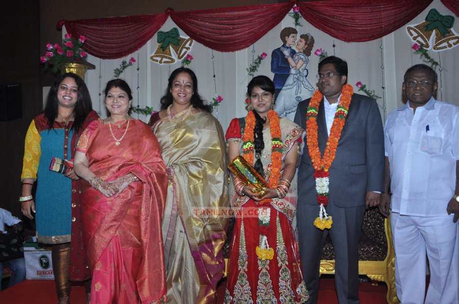 Y Vijaya Daughter Wedding Reception 8745