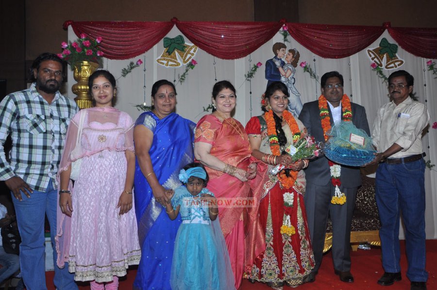 Y Vijaya Daughter Wedding Reception 9377