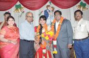 Y Vijaya Daughter Wedding Reception Photos 1429