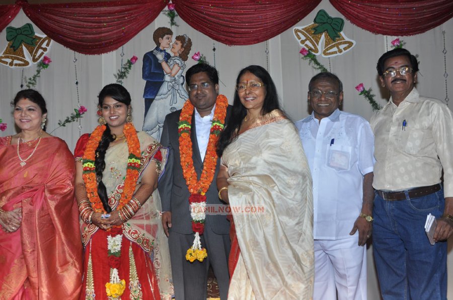 Y Vijaya Daughter Wedding Reception Photos 8362