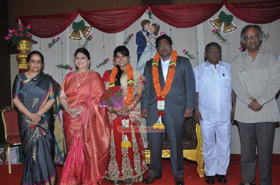 Y Vijaya Daughter Wedding Reception Stills 4488