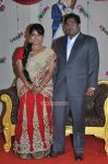 Y Vijaya Daughter Wedding Reception Stills 4512