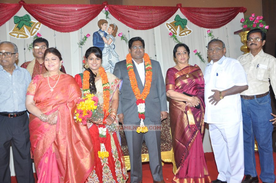 Y Vijaya Daughter Wedding Reception Stills 5846